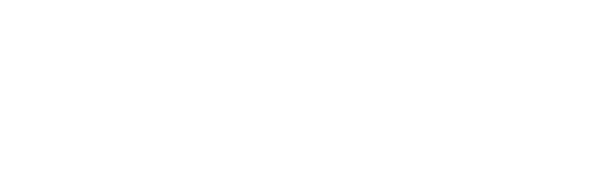 NEOG – Die Handelsagentur